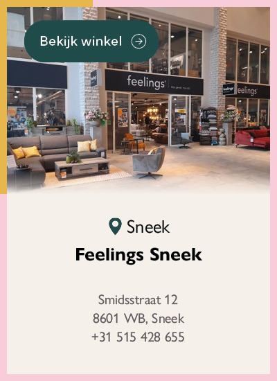 Feelings Sneek