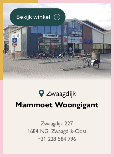 Mammoet Woongigant Zwaagdijk