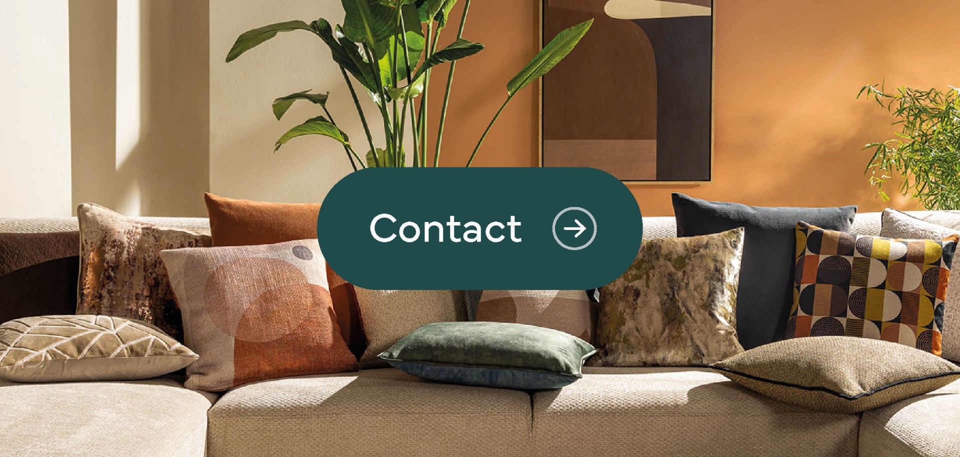 Neem contact met ons op voor al je vragen